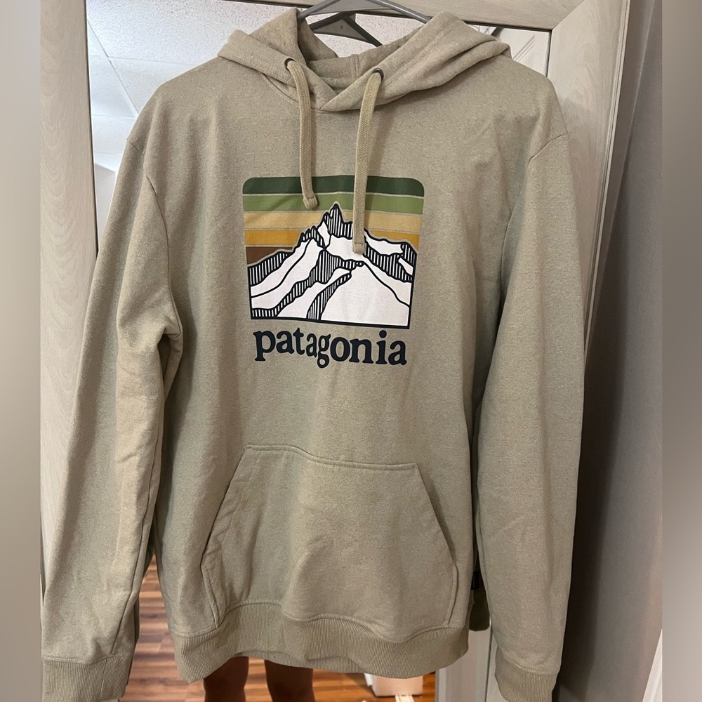 Patagonia hoodie